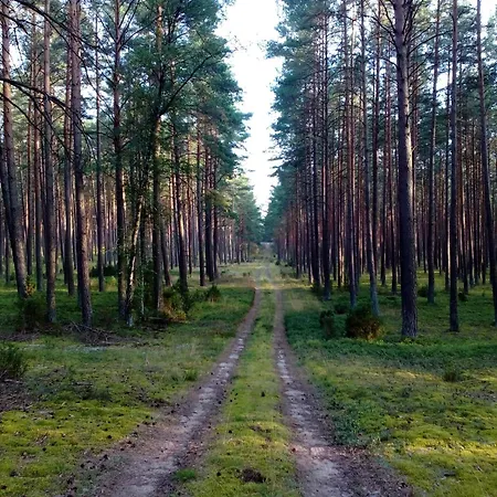 別荘 Lesny Męcikał